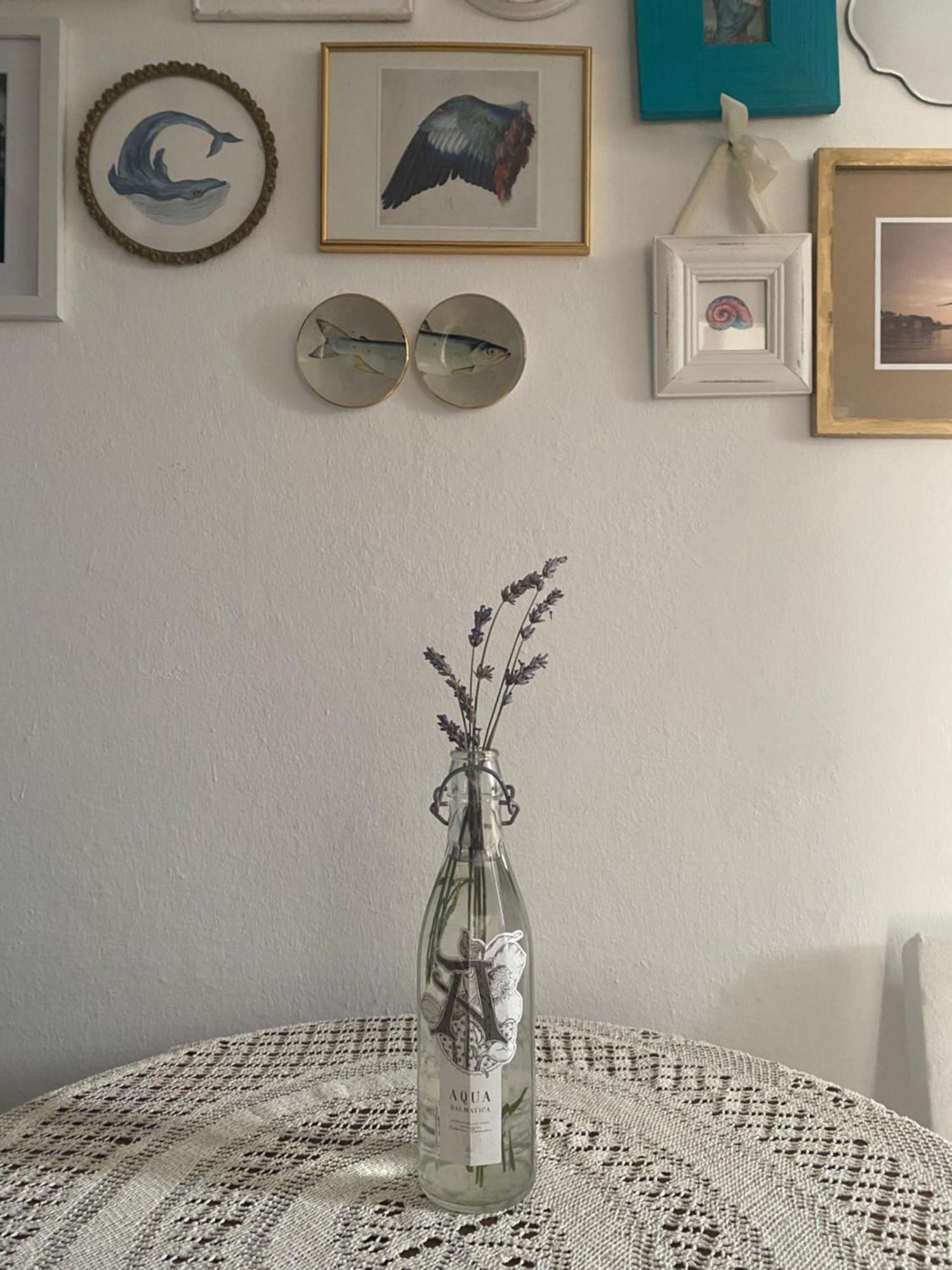 La Lena Apartment Sibenik Ngoại thất bức ảnh